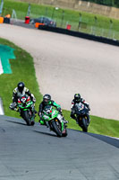 PJ-Motorsport-2019;donington-no-limits-trackday;donington-park-photographs;donington-trackday-photographs;no-limits-trackdays;peter-wileman-photography;trackday-digital-images;trackday-photos